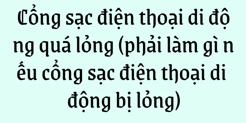 Cổng sạc điện thoại di động quá lỏng (phải làm gì nếu cổng sạc điện thoại di động bị lỏng)
