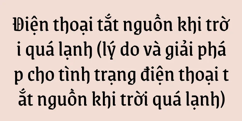Điện thoại tắt nguồn khi trời quá lạnh (lý do và giải pháp cho tình trạng điện thoại tắt nguồn khi trời quá lạnh)