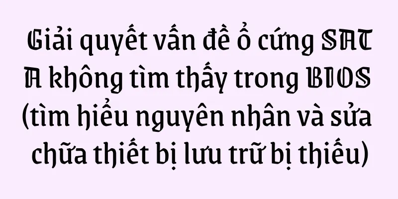 Giải quyết vấn đề ổ cứng SATA không tìm thấy trong BIOS (tìm hiểu nguyên nhân và sửa chữa thiết bị lưu trữ bị thiếu)