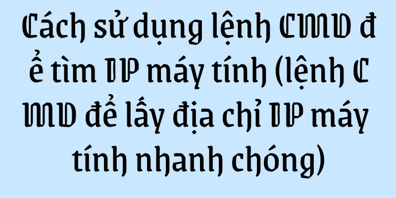 Cách sử dụng lệnh CMD để tìm IP máy tính (lệnh CMD để lấy địa chỉ IP máy tính nhanh chóng)