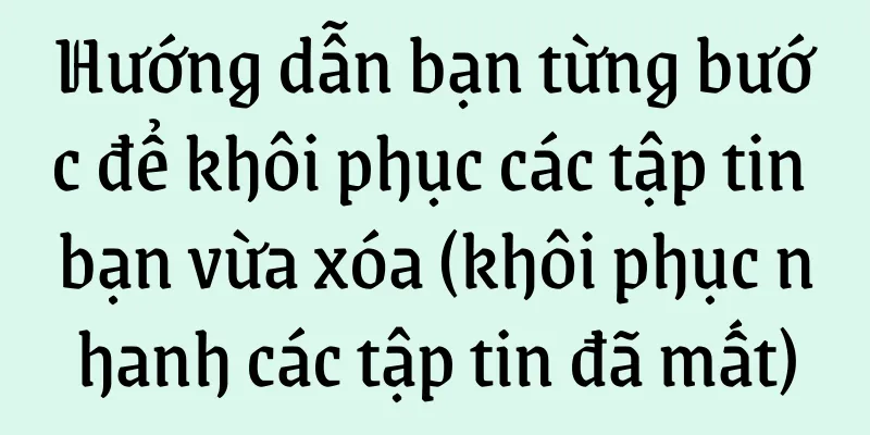 Hướng dẫn bạn từng bước để khôi phục các tập tin bạn vừa xóa (khôi phục nhanh các tập tin đã mất)