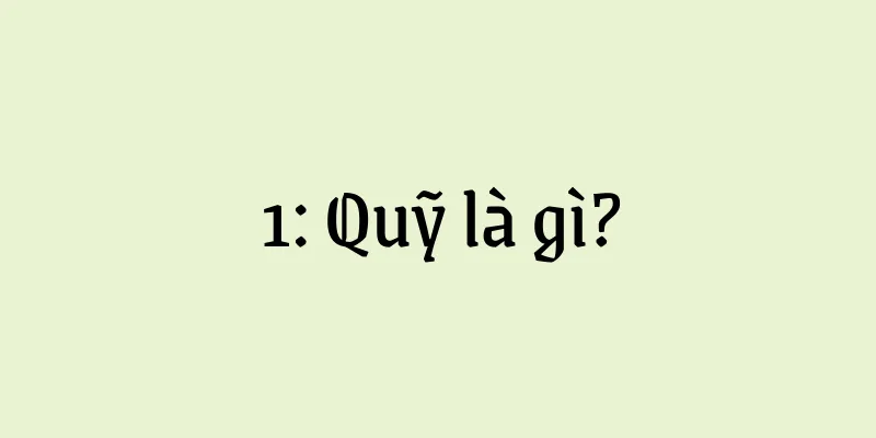 1: Quỹ là gì?