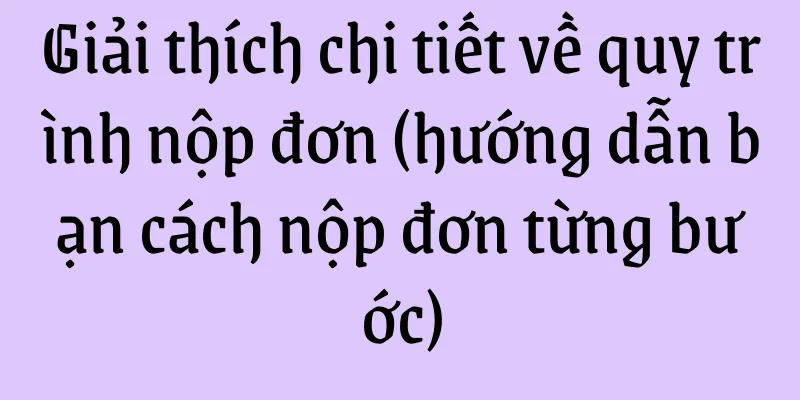 Giải thích chi tiết về quy trình nộp đơn (hướng dẫn bạn cách nộp đơn từng bước)
