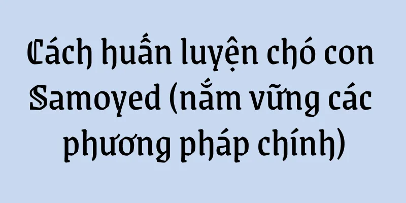 Cách huấn luyện chó con Samoyed (nắm vững các phương pháp chính)