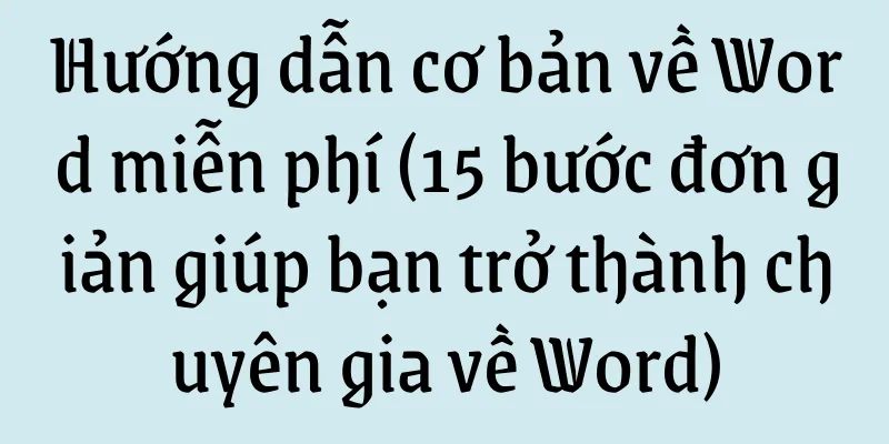 Hướng dẫn cơ bản về Word miễn phí (15 bước đơn giản giúp bạn trở thành chuyên gia về Word)
