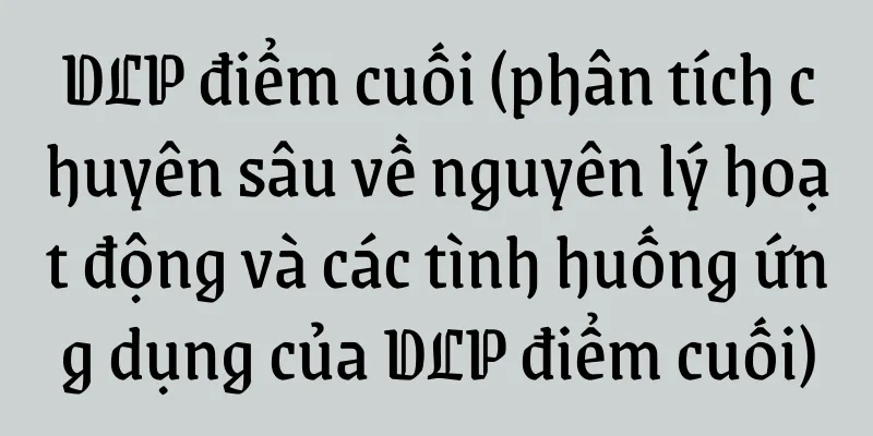 DLP điểm cuối (phân tích chuyên sâu về nguyên lý hoạt động và các tình huống ứng dụng của DLP điểm cuối)
