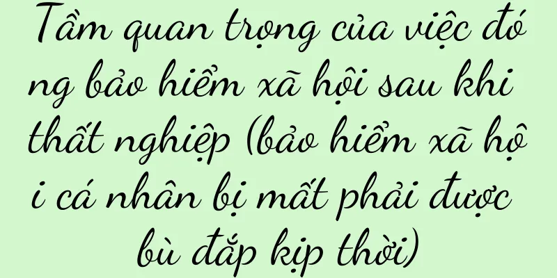 Tầm quan trọng của việc đóng bảo hiểm xã hội sau khi thất nghiệp (bảo hiểm xã hội cá nhân bị mất phải được bù đắp kịp thời)