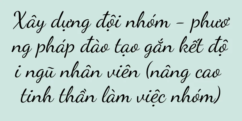Xây dựng đội nhóm - phương pháp đào tạo gắn kết đội ngũ nhân viên (nâng cao tinh thần làm việc nhóm)