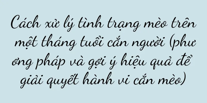 Cách xử lý tình trạng mèo trên một tháng tuổi cắn người (phương pháp và gợi ý hiệu quả để giải quyết hành vi cắn mèo)