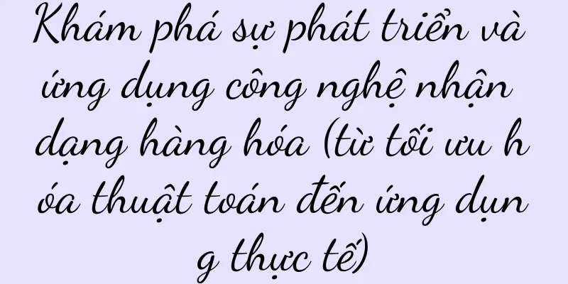 Khám phá sự phát triển và ứng dụng công nghệ nhận dạng hàng hóa (từ tối ưu hóa thuật toán đến ứng dụng thực tế)