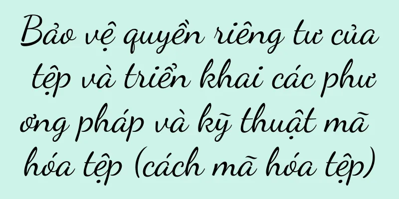 Bảo vệ quyền riêng tư của tệp và triển khai các phương pháp và kỹ thuật mã hóa tệp (cách mã hóa tệp)