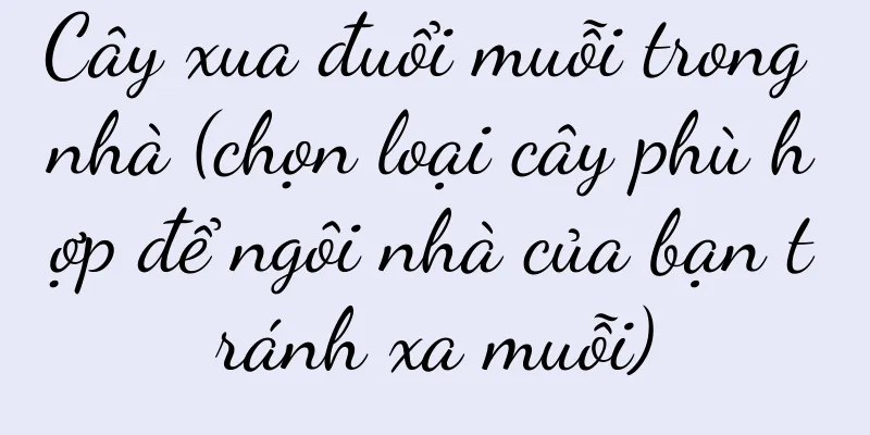 Cây xua đuổi muỗi trong nhà (chọn loại cây phù hợp để ngôi nhà của bạn tránh xa muỗi)