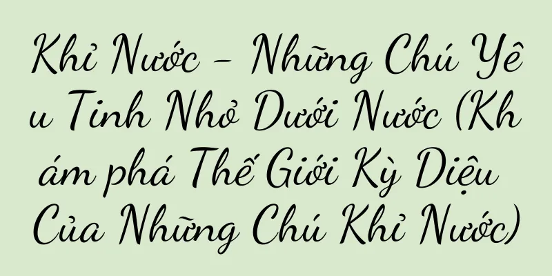 Khỉ Nước - Những Chú Yêu Tinh Nhỏ Dưới Nước (Khám phá Thế Giới Kỳ Diệu Của Những Chú Khỉ Nước)