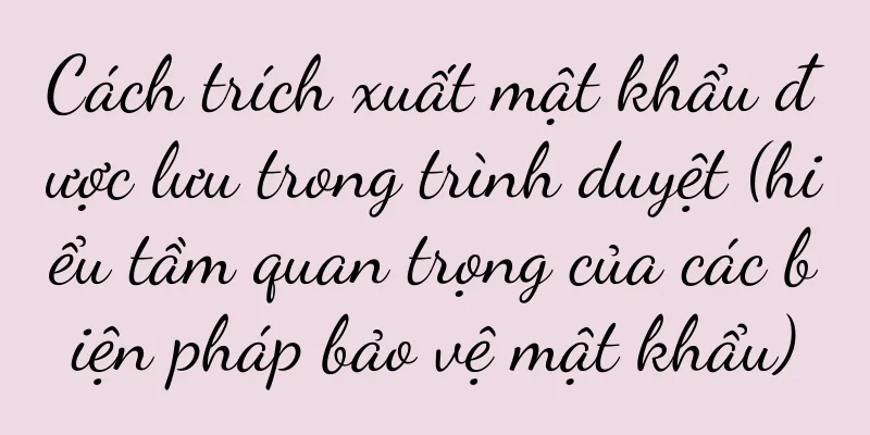 Cách trích xuất mật khẩu được lưu trong trình duyệt (hiểu tầm quan trọng của các biện pháp bảo vệ mật khẩu)