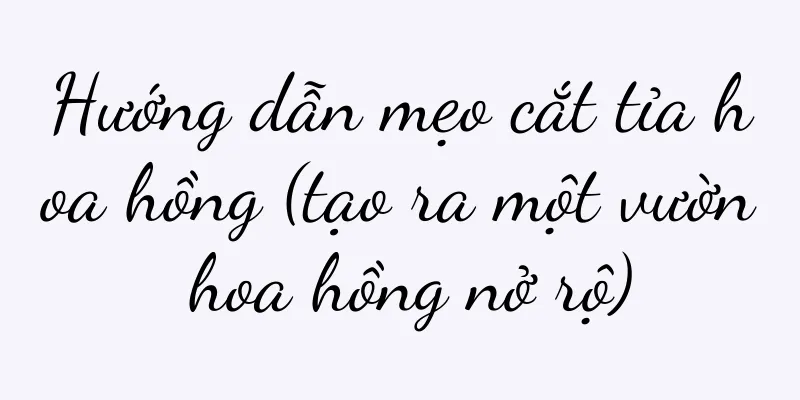 Hướng dẫn mẹo cắt tỉa hoa hồng (tạo ra một vườn hoa hồng nở rộ)