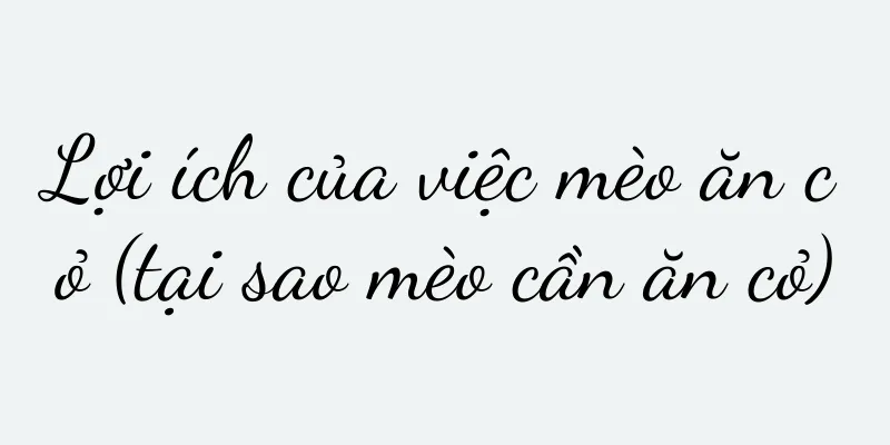 Lợi ích của việc mèo ăn cỏ (tại sao mèo cần ăn cỏ)