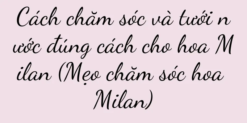 Cách chăm sóc và tưới nước đúng cách cho hoa Milan (Mẹo chăm sóc hoa Milan)