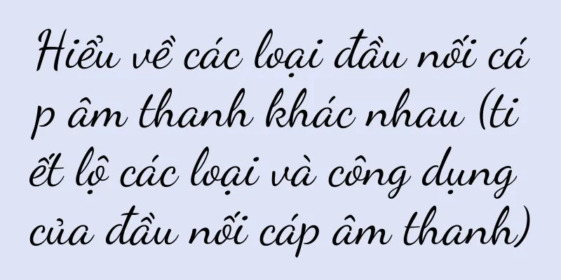 Hiểu về các loại đầu nối cáp âm thanh khác nhau (tiết lộ các loại và công dụng của đầu nối cáp âm thanh)
