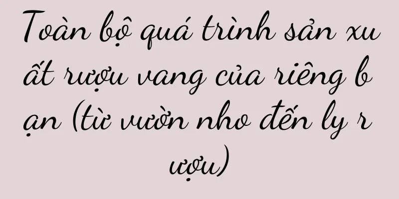 Toàn bộ quá trình sản xuất rượu vang của riêng bạn (từ vườn nho đến ly rượu)