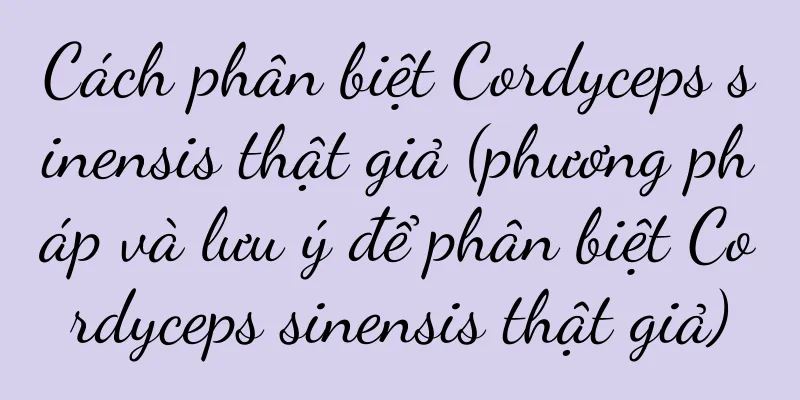 Cách phân biệt Cordyceps sinensis thật giả (phương pháp và lưu ý để phân biệt Cordyceps sinensis thật giả)