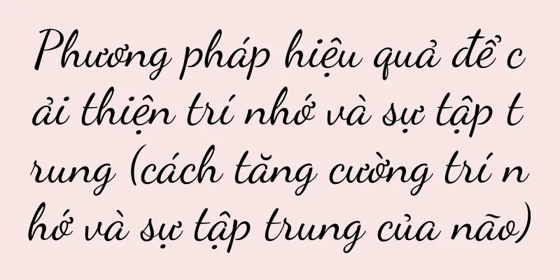 Phương pháp hiệu quả để cải thiện trí nhớ và sự tập trung (cách tăng cường trí nhớ và sự tập trung của não)