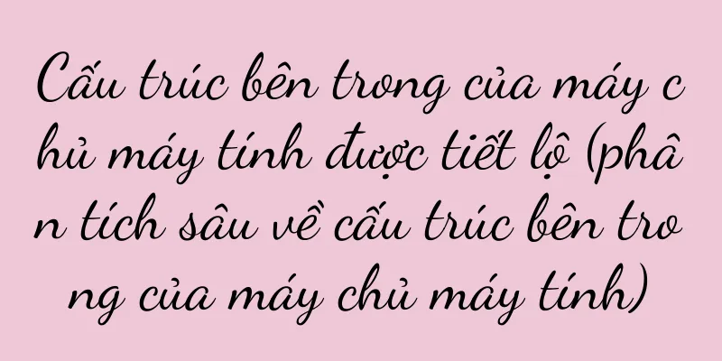Cấu trúc bên trong của máy chủ máy tính được tiết lộ (phân tích sâu về cấu trúc bên trong của máy chủ máy tính)