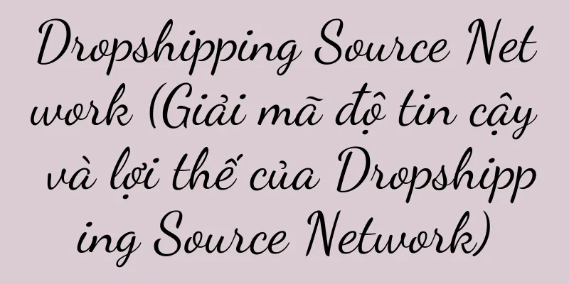Dropshipping Source Network (Giải mã độ tin cậy và lợi thế của Dropshipping Source Network)