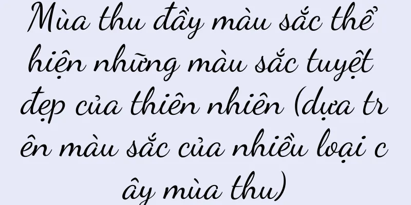 Mùa thu đầy màu sắc thể hiện những màu sắc tuyệt đẹp của thiên nhiên (dựa trên màu sắc của nhiều loại cây mùa thu)