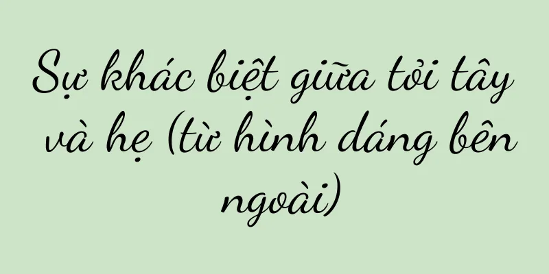 Sự khác biệt giữa tỏi tây và hẹ (từ hình dáng bên ngoài)