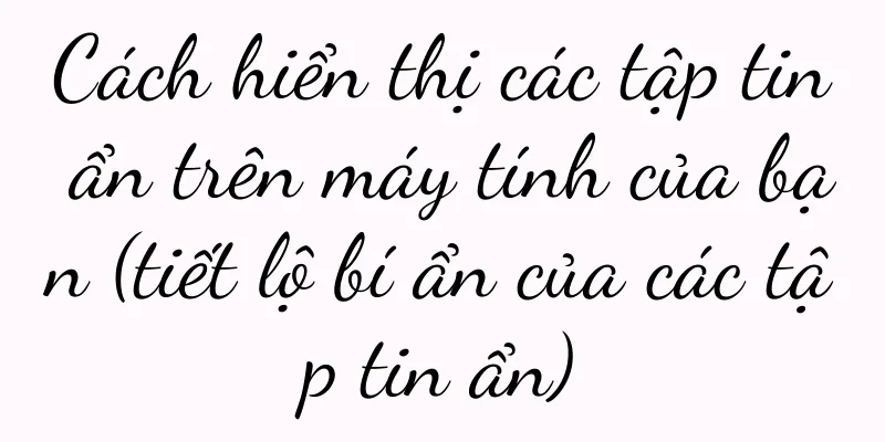 Cách hiển thị các tập tin ẩn trên máy tính của bạn (tiết lộ bí ẩn của các tập tin ẩn)