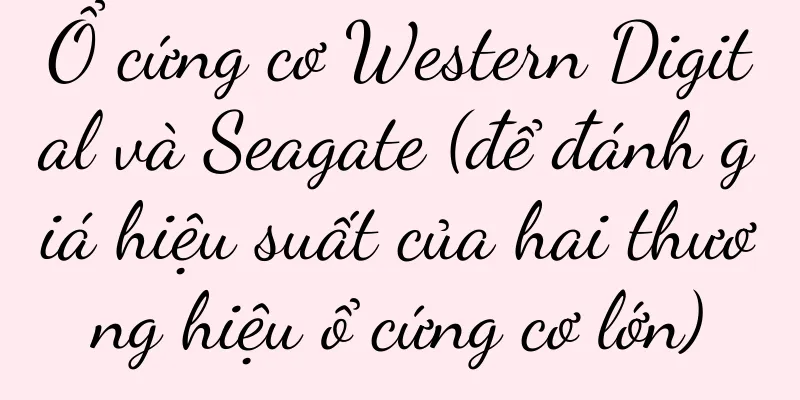 Ổ cứng cơ Western Digital và Seagate (để đánh giá hiệu suất của hai thương hiệu ổ cứng cơ lớn)
