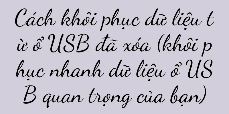 Cách khôi phục dữ liệu từ ổ USB đã xóa (khôi phục nhanh dữ liệu ổ USB quan trọng của bạn)