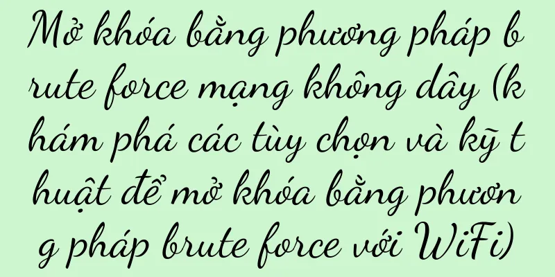 Mở khóa bằng phương pháp brute force mạng không dây (khám phá các tùy chọn và kỹ thuật để mở khóa bằng phương pháp brute force với WiFi)