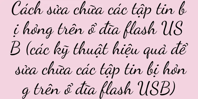 Cách sửa chữa các tập tin bị hỏng trên ổ đĩa flash USB (các kỹ thuật hiệu quả để sửa chữa các tập tin bị hỏng trên ổ đĩa flash USB)