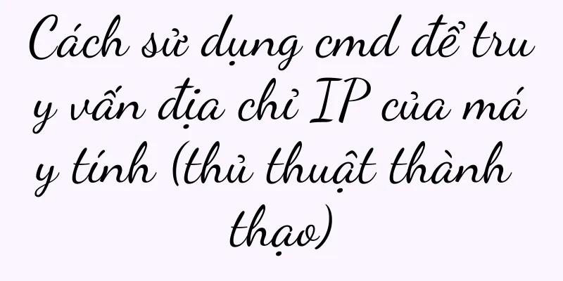 Cách sử dụng cmd để truy vấn địa chỉ IP của máy tính (thủ thuật thành thạo)