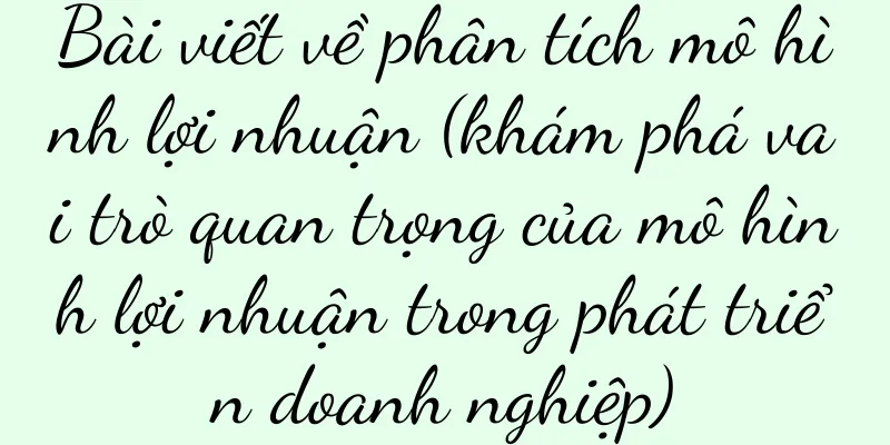 Bài viết về phân tích mô hình lợi nhuận (khám phá vai trò quan trọng của mô hình lợi nhuận trong phát triển doanh nghiệp)