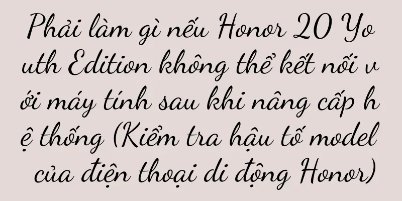 Phải làm gì nếu Honor 20 Youth Edition không thể kết nối với máy tính sau khi nâng cấp hệ thống (Kiểm tra hậu tố model của điện thoại di động Honor)