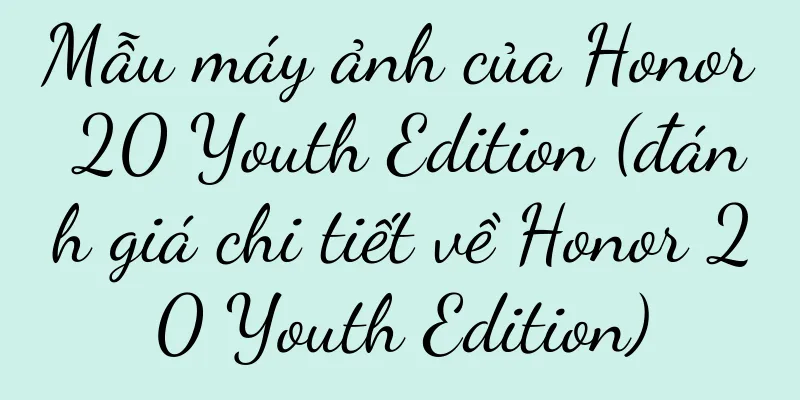 Mẫu máy ảnh của Honor 20 Youth Edition (đánh giá chi tiết về Honor 20 Youth Edition)