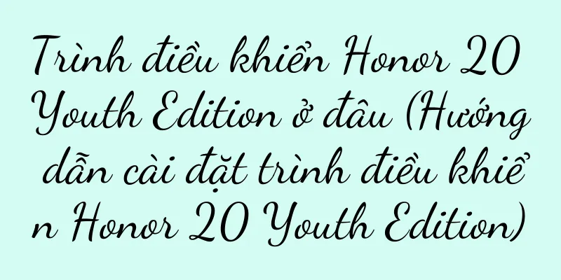 Trình điều khiển Honor 20 Youth Edition ở đâu (Hướng dẫn cài đặt trình điều khiển Honor 20 Youth Edition)