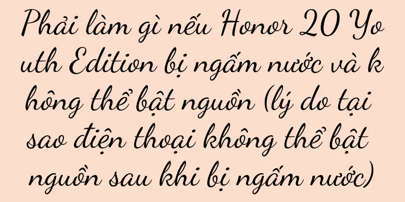Phải làm gì nếu Honor 20 Youth Edition bị ngấm nước và không thể bật nguồn (lý do tại sao điện thoại không thể bật nguồn sau khi bị ngấm nước)