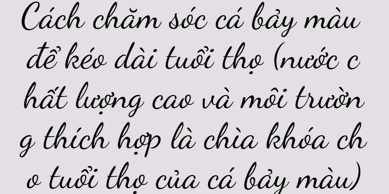 Cách chăm sóc cá bảy màu để kéo dài tuổi thọ (nước chất lượng cao và môi trường thích hợp là chìa khóa cho tuổi thọ của cá bảy màu)