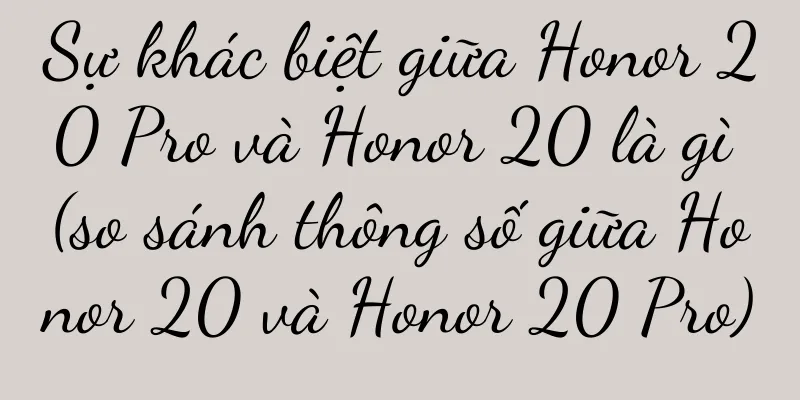 Sự khác biệt giữa Honor 20 Pro và Honor 20 là gì (so sánh thông số giữa Honor 20 và Honor 20 Pro)
