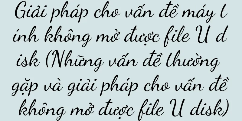 Giải pháp cho vấn đề máy tính không mở được file U disk (Những vấn đề thường gặp và giải pháp cho vấn đề không mở được file U disk)