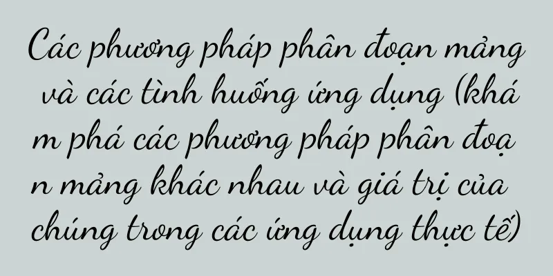 Các phương pháp phân đoạn mảng và các tình huống ứng dụng (khám phá các phương pháp phân đoạn mảng khác nhau và giá trị của chúng trong các ứng dụng thực tế)