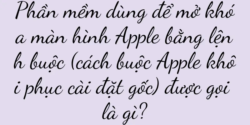 Phần mềm dùng để mở khóa màn hình Apple bằng lệnh buộc (cách buộc Apple khôi phục cài đặt gốc) được gọi là gì?