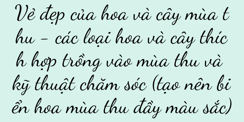 Vẻ đẹp của hoa và cây mùa thu - các loại hoa và cây thích hợp trồng vào mùa thu và kỹ thuật chăm sóc (tạo nên biển hoa mùa thu đầy màu sắc)