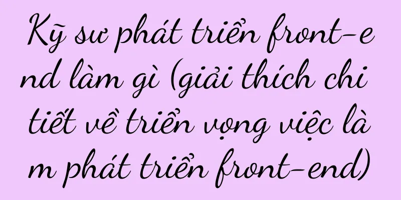 Kỹ sư phát triển front-end làm gì (giải thích chi tiết về triển vọng việc làm phát triển front-end)