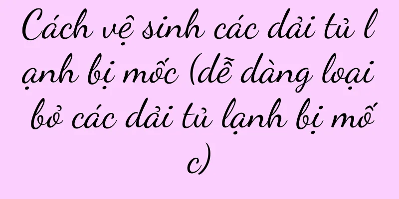 Cách vệ sinh các dải tủ lạnh bị mốc (dễ dàng loại bỏ các dải tủ lạnh bị mốc)