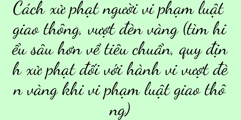 Cách xử phạt người vi phạm luật giao thông, vượt đèn vàng (tìm hiểu sâu hơn về tiêu chuẩn, quy định xử phạt đối với hành vi vượt đèn vàng khi vi phạm luật giao thông)