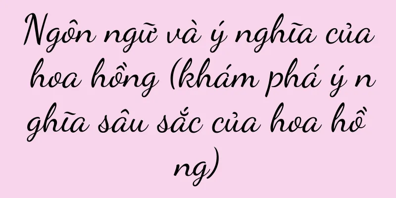 Ngôn ngữ và ý nghĩa của hoa hồng (khám phá ý nghĩa sâu sắc của hoa hồng)